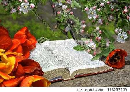Still life from ancient book and lush boquet Still life from ancient book and lush boquet 118237569