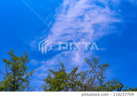 【京都風景】六月清爽的甘修寺 【京都風景】六月清爽的甘修寺 118237709