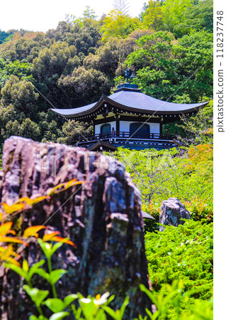 [Kyoto Scenery] Kanshu-ji Temple on a refreshing June day 118237748