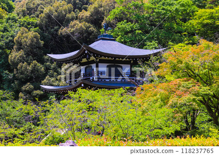 【京都風景】六月清爽的甘修寺 【京都風景】六月清爽的甘修寺 118237765