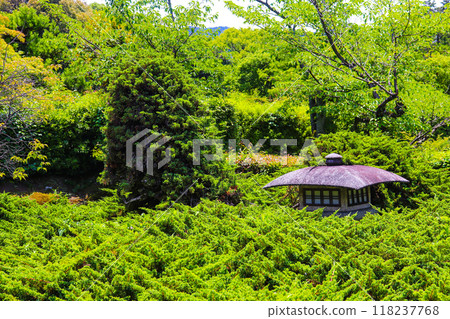 【京都風景】六月清爽的甘修寺 118237768