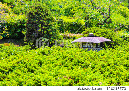 [Kyoto Scenery] Kanshu-ji Temple on a refreshing June day 118237770