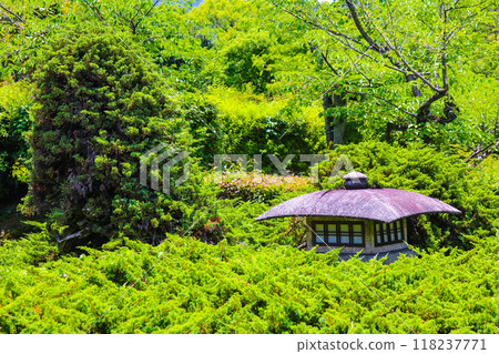 [Kyoto Scenery] Kanshu-ji Temple on a refreshing June day 118237771