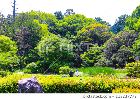 [Kyoto Scenery] Kanshu-ji Temple on a refreshing June day 118237772