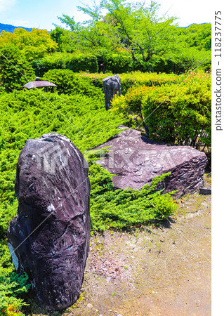 【京都風景】六月清爽的甘修寺 118237775