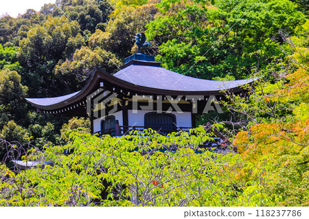 【京都風景】六月清爽的甘修寺 118237786