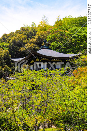[Kyoto Scenery] Kanshu-ji Temple on a refreshing June day 118237787