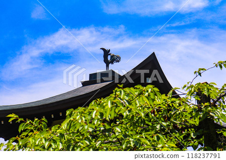 [Kyoto Scenery] Kanshu-ji Temple on a refreshing June day 118237791