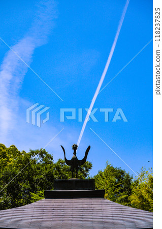 [Kyoto Scenery] Kanshu-ji Temple on a refreshing June day 118237825