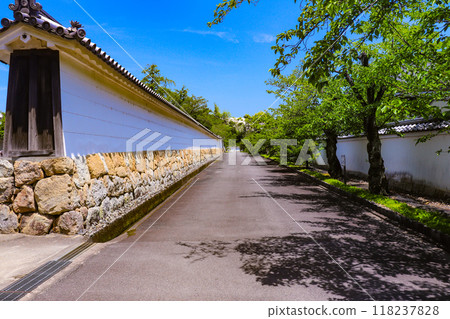 [Kyoto Scenery] Kanshu-ji Temple on a refreshing June day 118237828