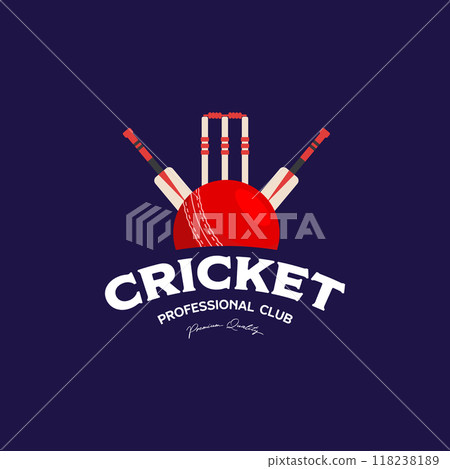 cricket ball element logo template and minimalist level for professional clubs and teams cricket ball element logo template and minimalist level for professional clubs and teams 118238189