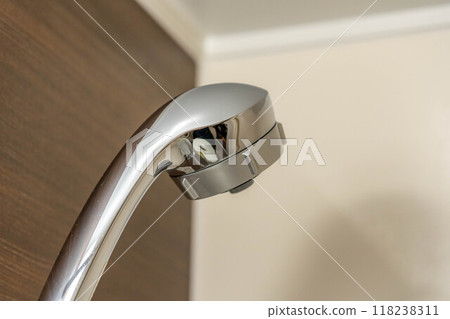 shower head 118238311