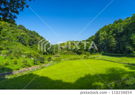 山腰小路,寧靜的田園風光 山腰小路,寧靜的田園風光 118238854