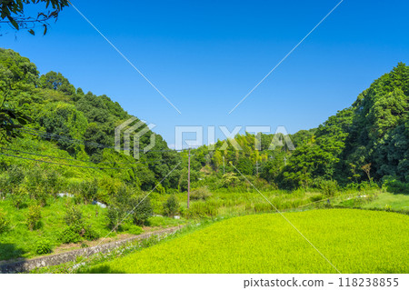 山腰小路，寧靜的田園風光 118238855