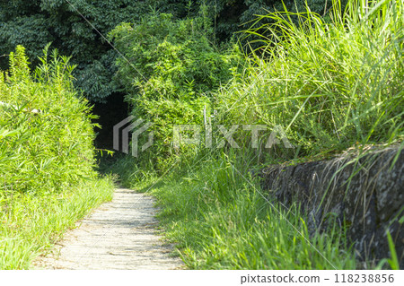 奈良山腰路 寧靜之路 118238856