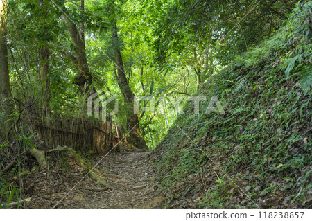 奈良山腰路 寧靜之路 118238857