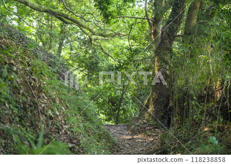 Nara - Yamanobe-no-michi, a peaceful road Nara - Yamanobe-no-michi, a peaceful road 118238858