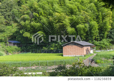 Nara, Yamanobe Road, Huts and rural scenery Nara, Yamanobe Road, Huts and rural scenery 118238859