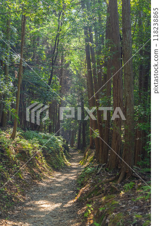 Nara mountain side road Nara mountain side road 118238865