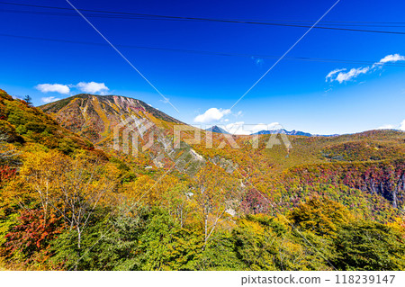 栃木縣歐日光：從明智平眺望的壯麗秋景 118239147