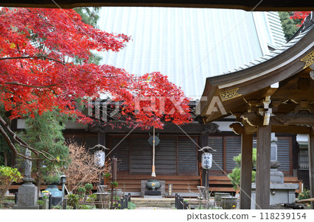 Nagao Village in late autumn Nagao Village in late autumn 118239154