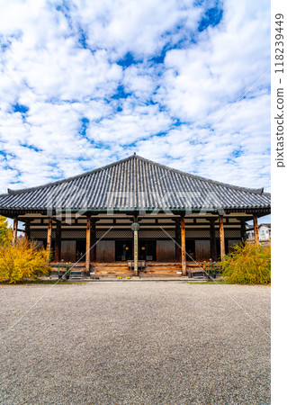 [Nara Prefecture] Autumn clouds floating in the main hall of Gangoji Temple 118239449