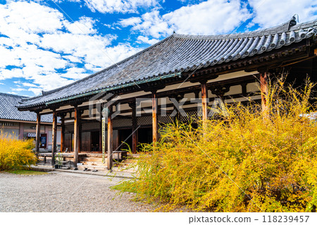 【奈良縣】秋雲飄浮的元興寺正殿 【奈良縣】秋雲飄浮的元興寺正殿 118239457