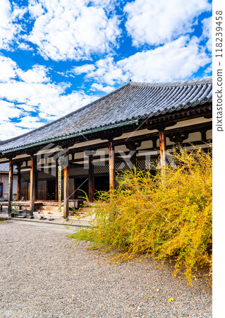 [Nara Prefecture] Autumn clouds floating in the main hall of Gangoji Temple 118239458