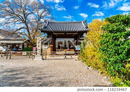 [Nara Prefecture] Autumn clouds floating over the east gate of Gangoji Temple 118239467