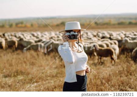 Young woman with a camera in front of a herd of sheep. Nature, fashion, vacation and lifestyle. 118239721