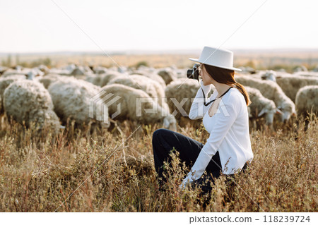 Young woman with a camera in front of a herd of sheep. Nature, fashion, vacation and lifestyle. 118239724