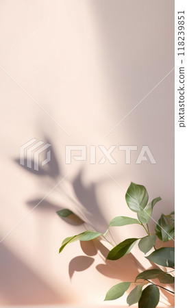 Minimalistic abstract gentle light beige wall background for product presentation or social media stories backdrop template. Green leaves aesthetic with beautiful light and intricate shadow. Vertical 118239851