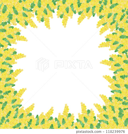 水彩手繪花朵:第1格:3月8日是「國際婦女節」和「含羞草日」象徵女性的花朵 水彩手繪花朵:第1格:3月8日是「國際婦女節」和「含羞草日」象徵女性的花朵 118239976