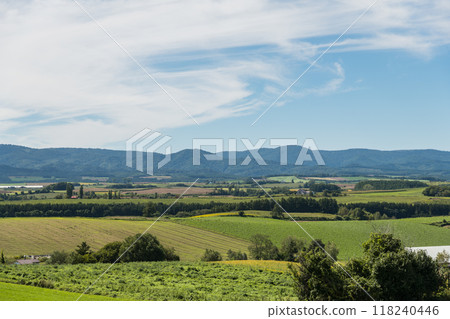[Autumn scenery from Sanai Hill, Biei Town] 118240446