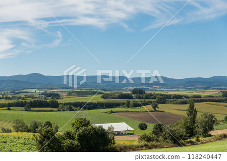 [Autumn scenery from Sanai Hill, Biei Town] 118240447