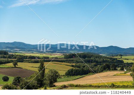 [Autumn scenery from Sanai Hill, Biei Town] 118240449