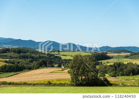[Autumn scenery from Sanai Hill, Biei Town] 118240450