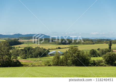 [Autumn scenery from Sanai Hill, Biei Town] 118240451