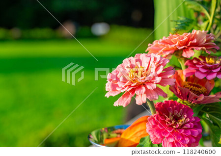 Pink Buddha flower Pink Buddha flower 118240600