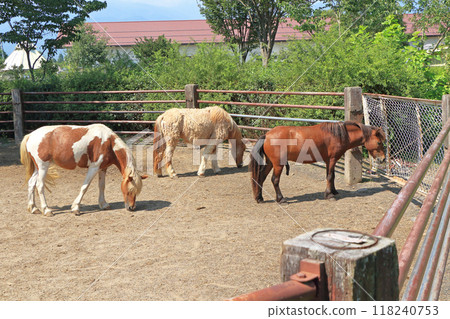 Horseland Azumino Pony 118240753