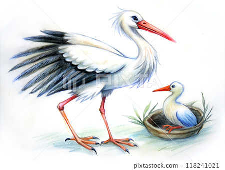 watercolor stork with bird 118241021