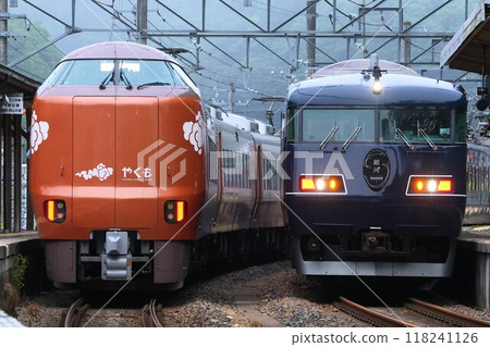 [JR West] 273 series "Yakumo" and 117 series "WEST EXPRESS Ginga" (Hakubi Line: Ikuyama Station) 118241126