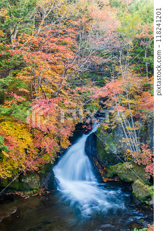 栃木縣奧日光龍頭瀑布 118241201