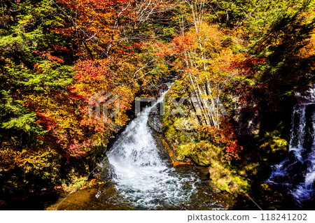 栃木縣奧日光龍頭瀑布 118241202