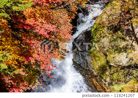 Ryuzu Falls, Oku-Nikko, Tochigi Prefecture Ryuzu Falls, Oku-Nikko, Tochigi Prefecture 118241207