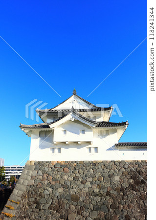 Scenery of Sunpu Castle Konyagura, Shizuoka City, Shizuoka Prefecture 118241344