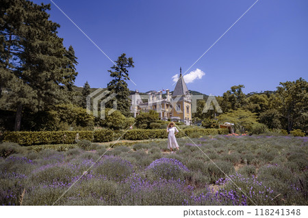 A woman is walking through a field of lavender A woman is walking through a field of lavender 118241348