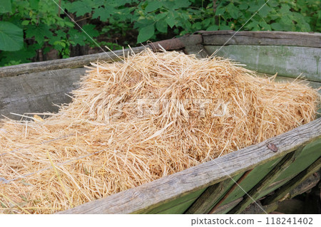 Hay in a vintage cart. Countryside. Wagon with haystacks. Organic gardening. 118241402