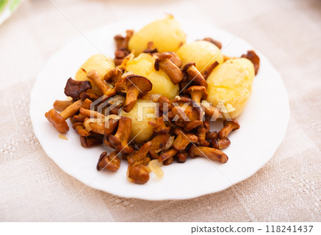 Delicious fried chanterelles with new potatoes on a white plate Delicious fried chanterelles with new potatoes on a white plate 118241437