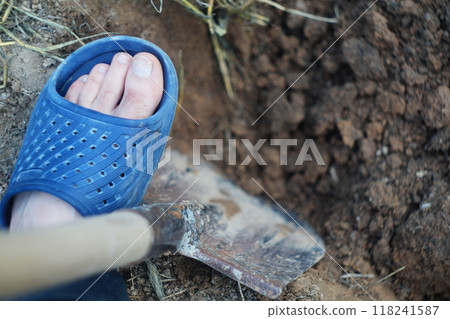 Mens left foot in a blue plastic slipper presses down on a metal shovel as he digs up soil, loosens soil for farming, or digs a grave in hot weather in summer. 118241587